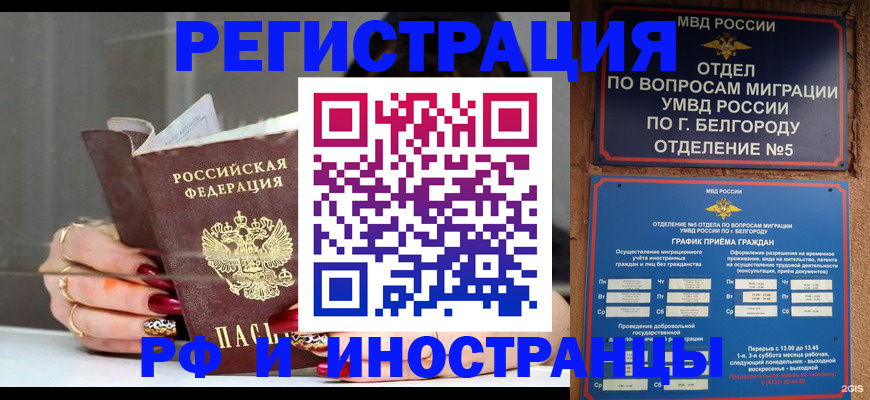прописка в Кировске